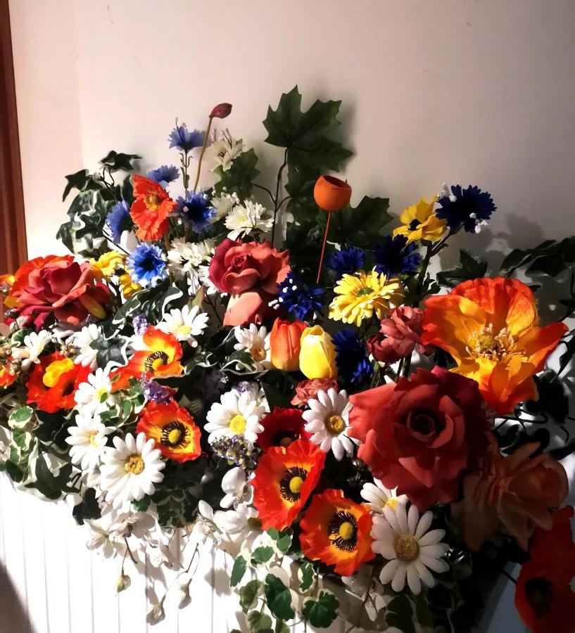 Hotel Alcazar Rimini Dış mekan fotoğraf