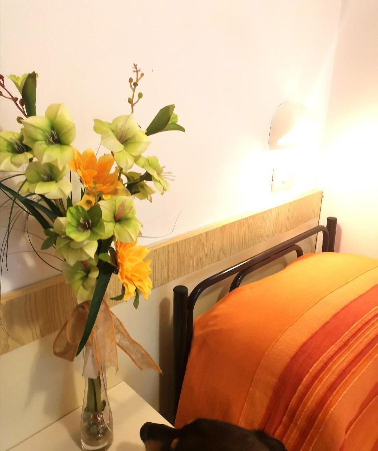 Hotel Alcazar Rimini Dış mekan fotoğraf